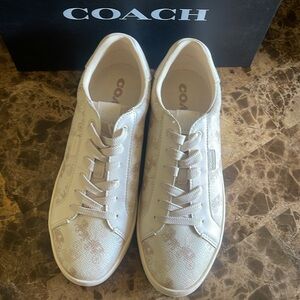 Lowline Low Top Sneaker